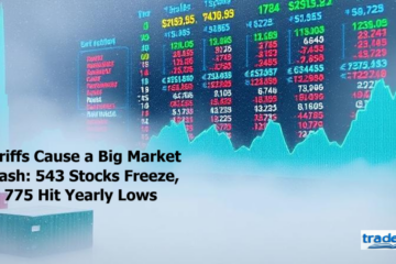 Tariffs Cause a Big Market Crash
