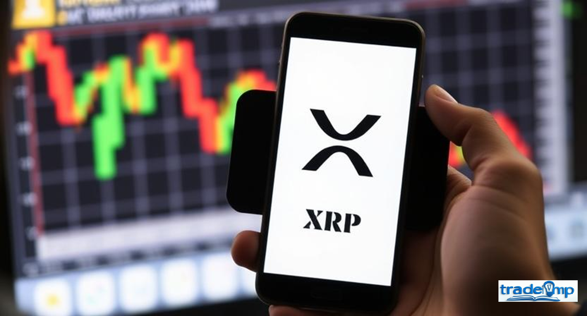XRP Price Crash
